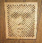 Crop circle face, August 14, 2001